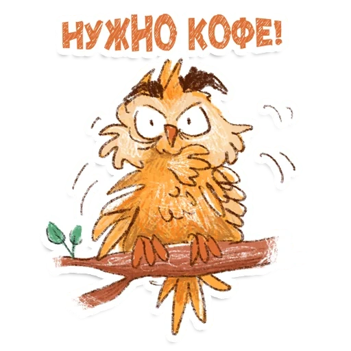 owl, les hiboux boivent du café, hibou arrogant, bonjour hibou, owl a picchiorossomaggiore