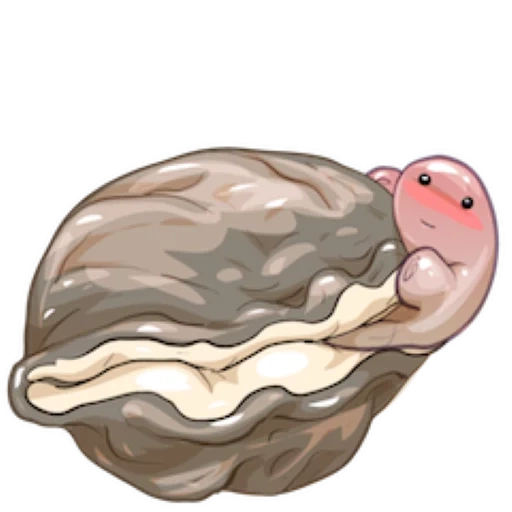 oyster, le ostriche, cartoon oyster