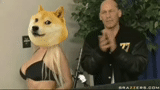 doge, chica, johnny sims