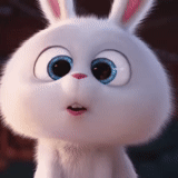 conejo malvado, bola de nieve de conejo, conejo divertido, vida secreta de la mascota, vida secreta del conejo mascota