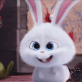 conejo de bola de nieve, caricatura de conejo, conejo de dibujos animados peludo blanco, vida secreta del conejo mascota, vida secreta del conejo mascota
