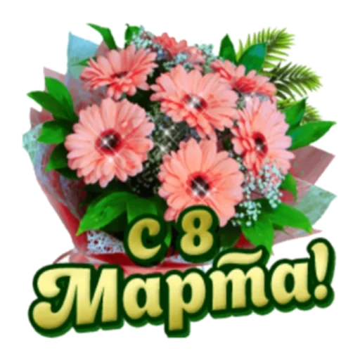 bouquet, bouquet de gerber, bouquet de fleurs, bouquet herberras, bouquet d'herbera chrysanthemum alstromeria
