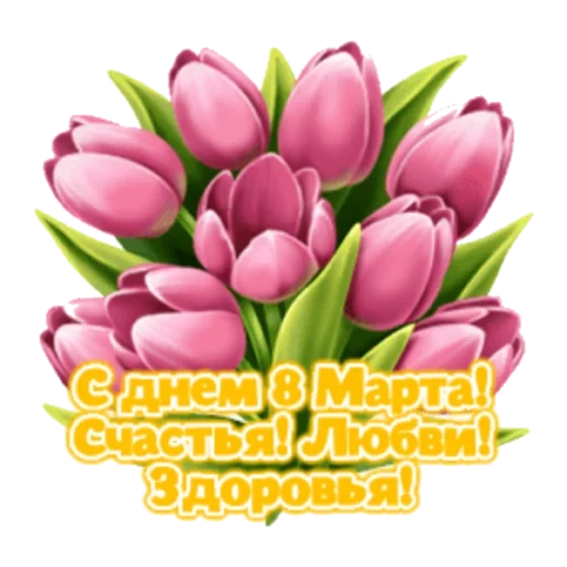 tulipanes, del 8 de marzo a mamá, dinastía de tulipán, hermoso tulipán, hermosos tulipanes desde el 8 de marzo