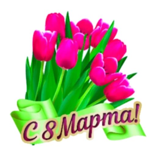 le 8 mars, tulipes d'ici le 8 mars, félicitations le 8 mars, cartes postales du 8 mars, depuis le 8 mars les tulipes violettes