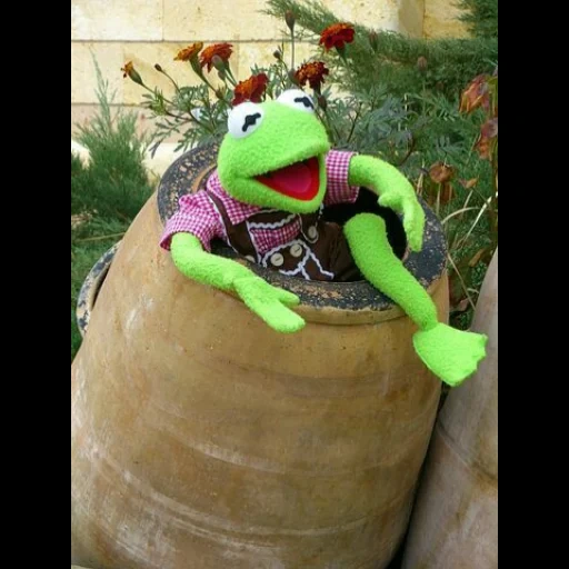 kermit, kermit, kermit edith, la rana di kermit, kermit la rana