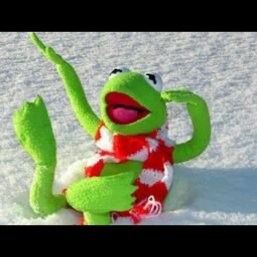 komi frog, comet the frog, frog kemi ng, frog toy, frog comet new year