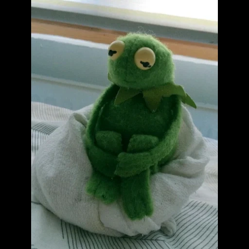 kermit, comet the frog, muppet kermit, comet the frog, frog komi aesthetics