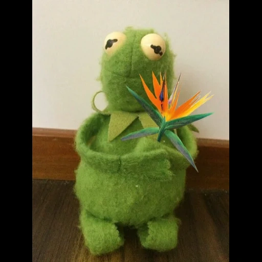 kermit, la rana di kermit, kermit la rana, rana kermit pepe, estetica delle rane