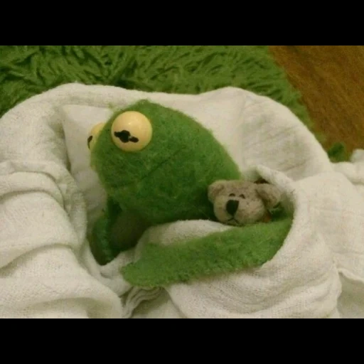 kermit, comet the frog, comet the frog, frog comey blanket, frog komi aesthetics