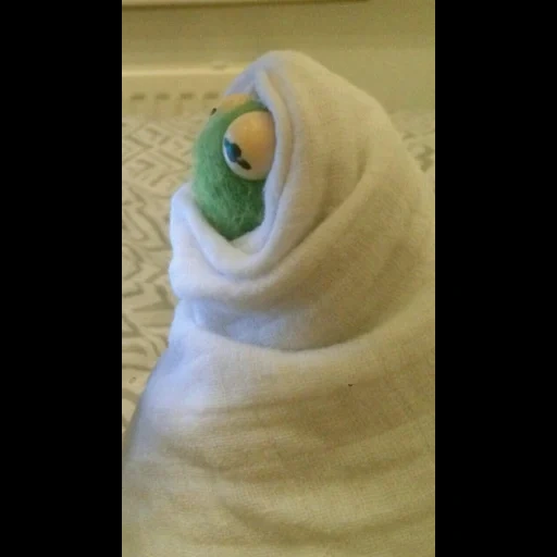 people, kermit blanket, photo apartment, a funny joke, dark cermet