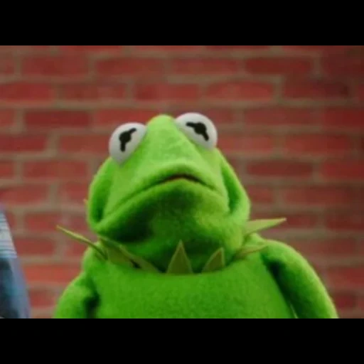kermit, muppet show, comet the frog, comet the frog weeps, frog doll comet meme