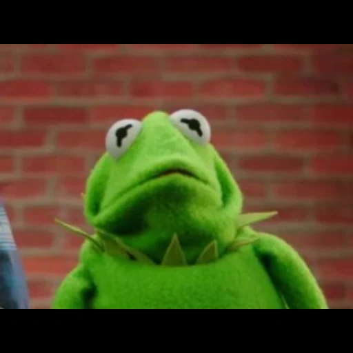 kermit, spettacolo di muppet, kermit la rana, kermit la rana piange, frog doll kermit meme