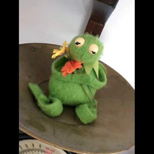 kermit, la rana di kermit, kermit la rana, estetica della rana hermitt, estetica delle rane