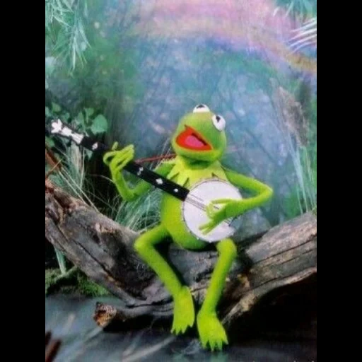 kermit, kermit, muppet show, comet the frog, frog comey banjo