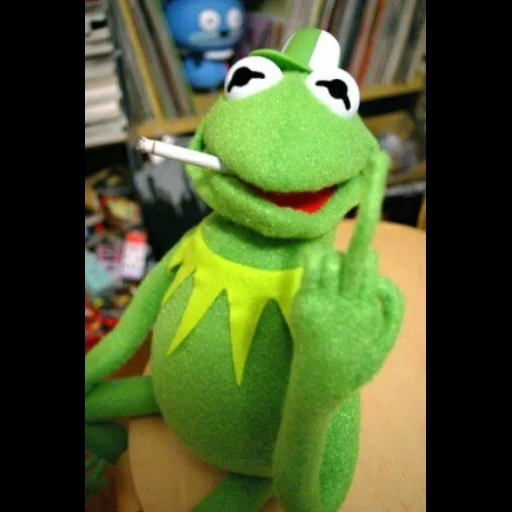 kermit, muppet show, kermit meme, komi frog, comet the frog