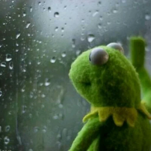 pluie à l'extérieur de la fenêtre, cermit est triste, grenouille triste, cermite de grenouille, la grenouille kermite est triste