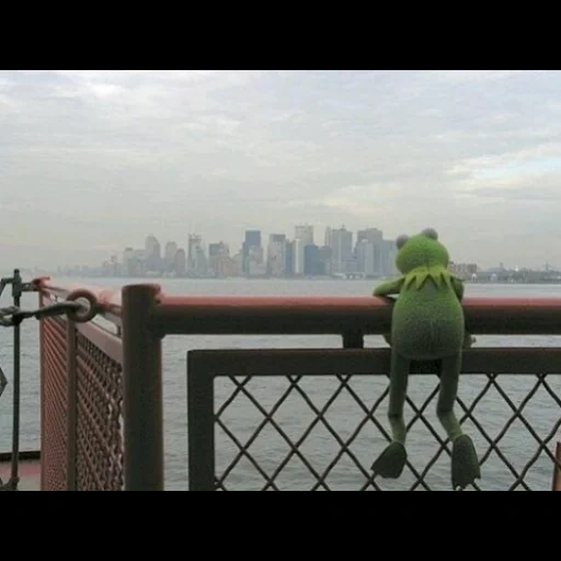 kermit, bei green, kermit der frosch, another day without meme, it's not easy being green