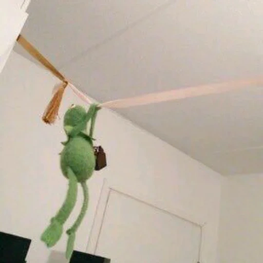kermit, muppet kermit, comet the frog, frog kemi ring, comet the frog hanged himself