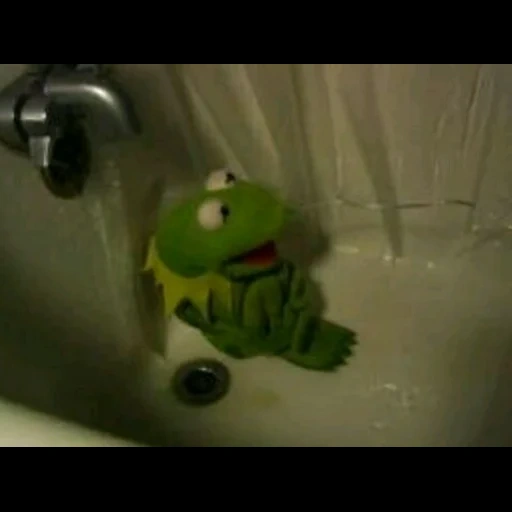 comet the frog, comet the frog, frog comey bathtub, comet the frog waits for the bathroom