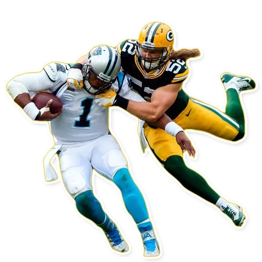 green bay packers, football americano, sfoca l'immagine, casco da football americano, falsa simulazione bozza pre-bozza taxidermic apocalypse canise