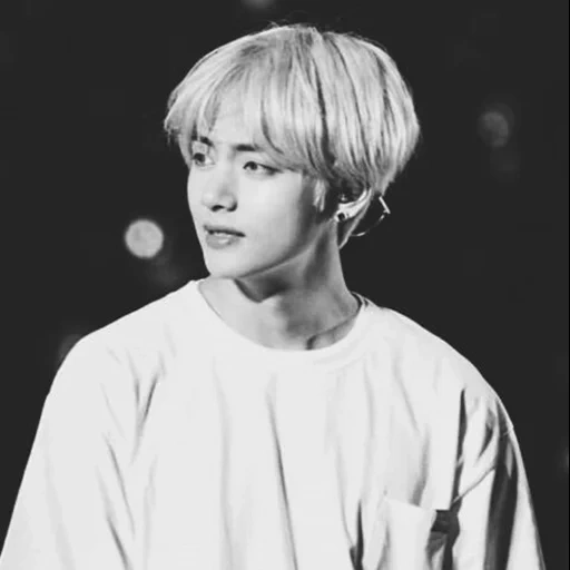 taehen, taehen kim, kim ta hyun, taehyung bts, perfil taehen