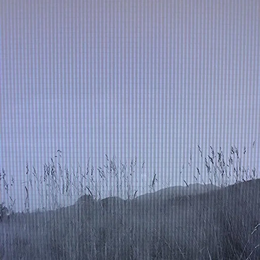 natura, piove la foresta, nebbia di pioggia, la natura è oscura, immagine sfocata