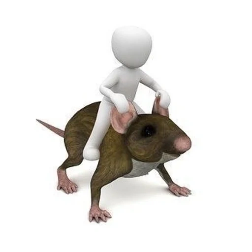 rata del ratón, rata del ratón, el mouse se escabulle, animal de rata, meme circo de rats