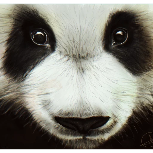 panda, panda's face, panda's eyes, panda muzzle, panda muzzle grin