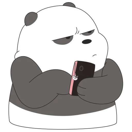 panda cn, bear panda, the bear is cute, the whole truth about bears, panda is the whole truth about the bears of aesthetics