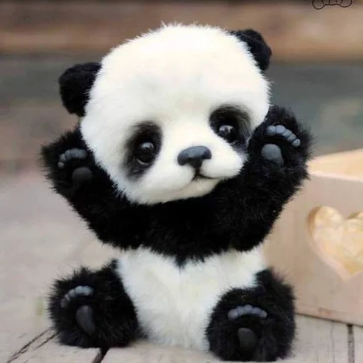 panda, lindo panda, hugo panda, panda lindo, panda colorido