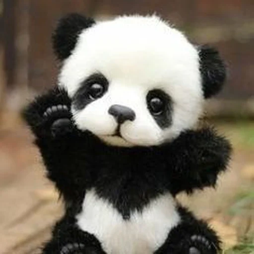 hugo panda, panda carino, hugo panda, panda di peluche, panda tromba
