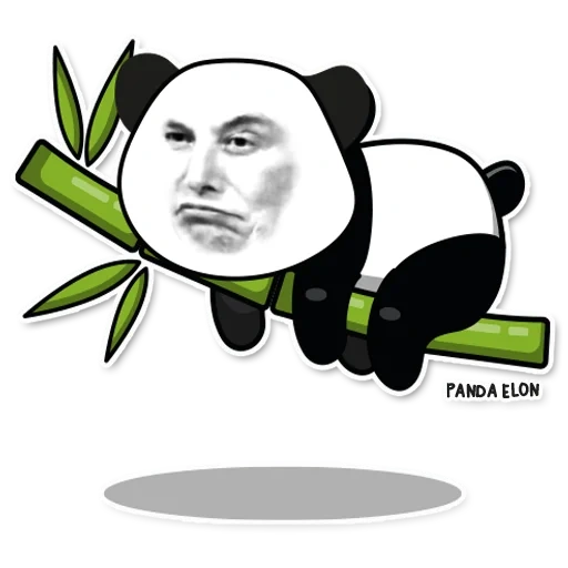 panda, deandanda, il maschio, panda pigra, panda meme cinese