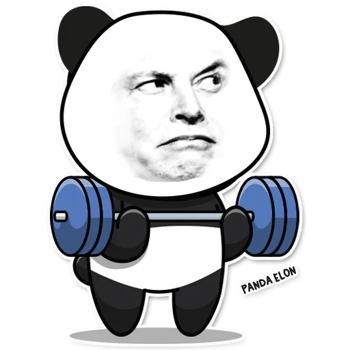 cara, el hombre, humano, panda de meme chino, gimnasio vectorial