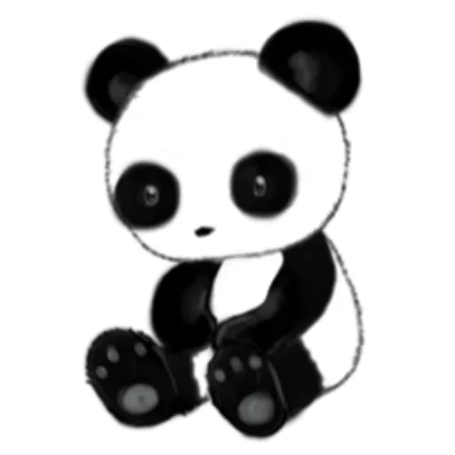 panda bo, panda core, panda panda, panda dolce, schizzo da disegno di panda