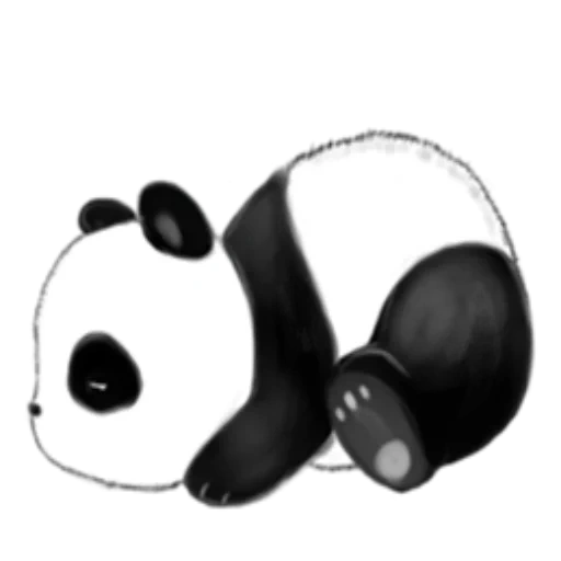panda, yi zi panda, panda hitam dan putih, sketsa pola panda, sketsa pandova yang lucu