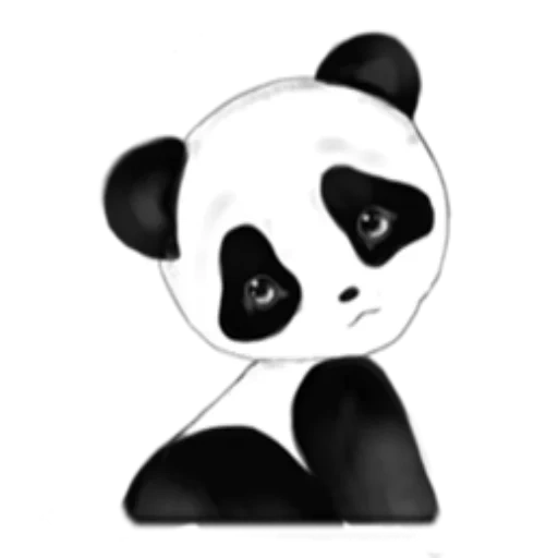 панда, панда панда, милая панда, панда рисунок, глаза панды силуэт