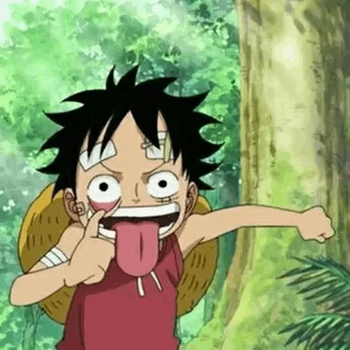 luffy, luffy van, manki d luffy, little luffy, van pis 493 episode