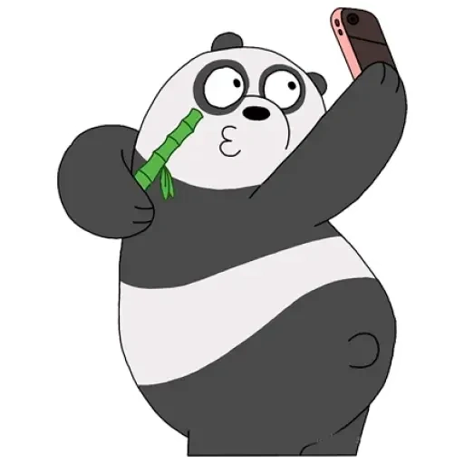 boys, bear panda, the whole truth about bears, the whole truth of panda bear, the whole truth about bears on cartoon network