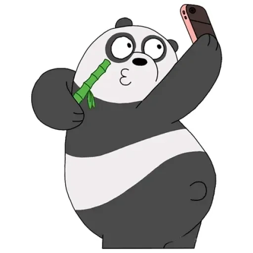 garçons, ours panda, toute la vérité sur les ours, toute la vérité sur panda bear, toute la vérité sur les ours sur cartoon network