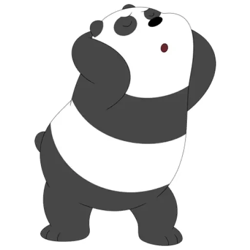 panda, panda, bear panda, giant panda, the whole truth of panda bear