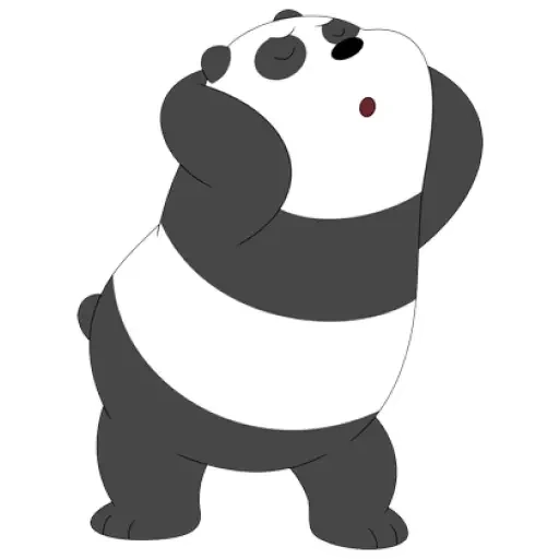 panda, panda, panda de oso, panda gigante, toda la verdad sobre panda bears