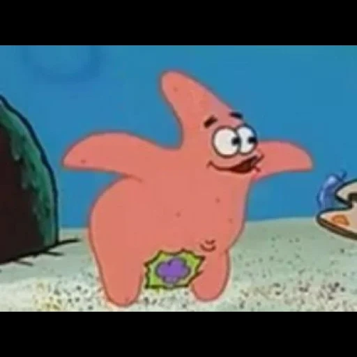 patrick, patrick star, fat sponge bob, sponge bob patrick, sponge bob square pants