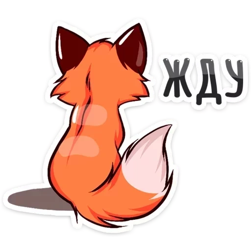fox, fox, pappy fox, pappy's fox