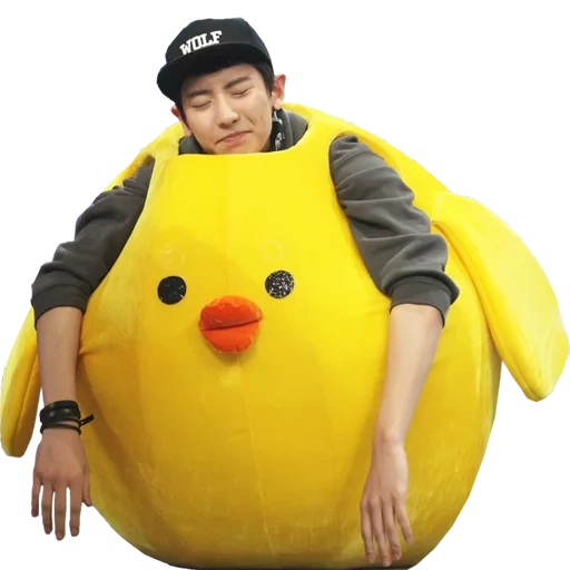 exo chicken, exo chanyeol, chanel funny, chanyeol yellow, exo kigurumi chanyeol