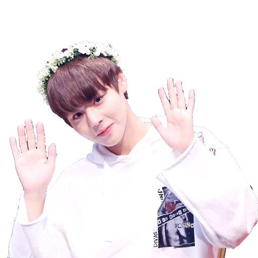 stiker bts jungkook, jungkook bts, stiker bts, jungkook dengan bunga di latar belakang putih, jung jung