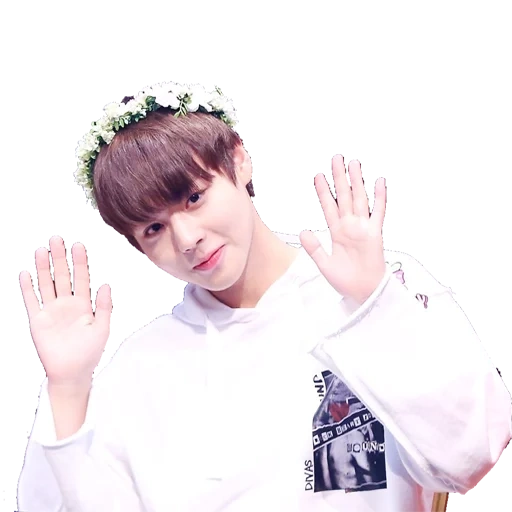 pegatinas bts jungkook, jungkook bts, bts pegatinas, jungkook con flores sobre un fondo blanco, jung jung