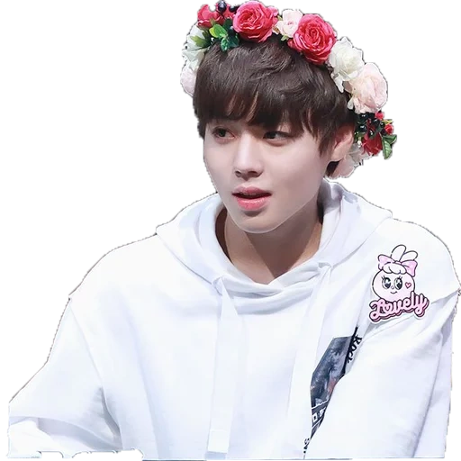jung jungkook, bee es jungkook, pak chinen, jihyo avec des fleurs, bts sur un fond transparent