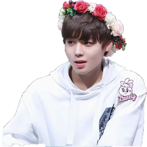 jung jungkook, bee es jungkook, pak chinen, jihyo mit blumen, bts auf einem transparenten hintergrund