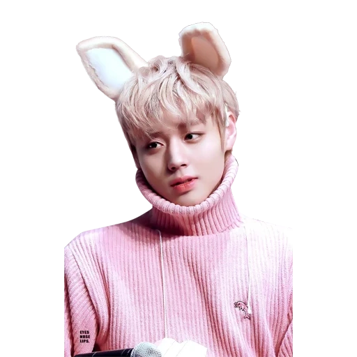 dzhikhun kpop, jihoon, pak jihun, jihun, wanna one jihun bunny