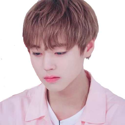 kang daniel, пак джихун, аня, джихун, пак джи хун